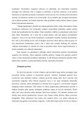 Tarptautinis terorizmas – grėsmė pasaulio bendruomenei 19 puslapis