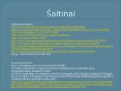 Egipto piramidės ir kapavietės 20 puslapis