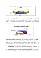 Tarptautinis turizmas 11 puslapis