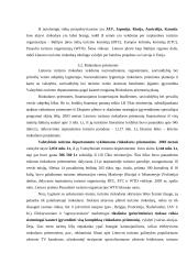 Tarptautinis turizmas 13 puslapis