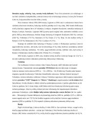 Tarptautinis turizmas 15 puslapis