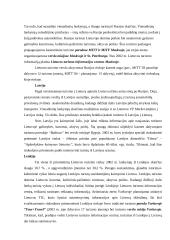 Tarptautinis turizmas 16 puslapis