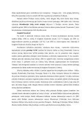 Tarptautinis turizmas 18 puslapis