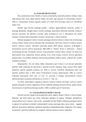 Tarptautinis turizmas 19 puslapis