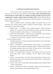 Tarptautinis turizmas 3 puslapis