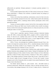 Tarptautinis turizmas 6 puslapis