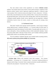 Tarptautinis turizmas 10 puslapis