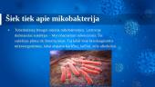 Tuberkuliozė. Pristatymas 3 puslapis