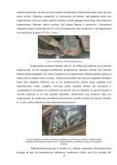 Lengvųjų automobilių diagnostikos praktikos ataskaita 16 puslapis