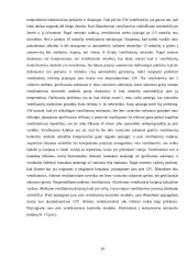 Lengvųjų automobilių diagnostikos praktikos ataskaita 17 puslapis