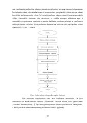 Lengvųjų automobilių diagnostikos praktikos ataskaita 19 puslapis