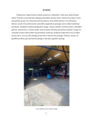 Lengvųjų automobilių diagnostikos praktikos ataskaita 3 puslapis