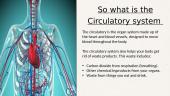 Circulatory system 2 puslapis