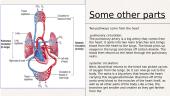Circulatory system 5 puslapis