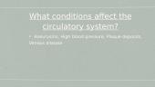 Circulatory system 6 puslapis