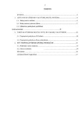 Tarpvalstybiniai įmonių atsiskaitymai su Rytų ir Vakarų valstybėmis 2 puslapis