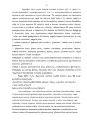 Tarpvalstybiniai įmonių atsiskaitymai su Rytų ir Vakarų valstybėmis 11 puslapis