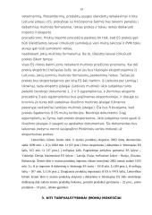 Tarpvalstybiniai įmonių atsiskaitymai su Rytų ir Vakarų valstybėmis 13 puslapis