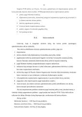 Tarpvalstybiniai įmonių atsiskaitymai su Rytų ir Vakarų valstybėmis 15 puslapis