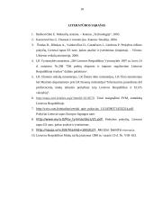 Tarpvalstybiniai įmonių atsiskaitymai su Rytų ir Vakarų valstybėmis 18 puslapis