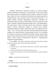 Tarpvalstybiniai įmonių atsiskaitymai su Rytų ir Vakarų valstybėmis 3 puslapis