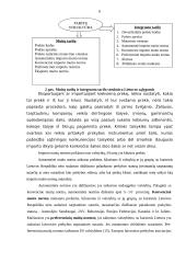 Tarpvalstybiniai įmonių atsiskaitymai su Rytų ir Vakarų valstybėmis 6 puslapis