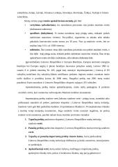 Tarpvalstybiniai įmonių atsiskaitymai su Rytų ir Vakarų valstybėmis 7 puslapis