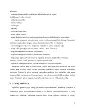 Galvos smegenų insultas Lietuvoje pandemijos laikotarpiu 4 puslapis