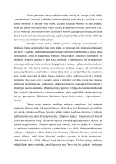 Mokytojo ir mokinio interakcijos analizė 2 puslapis