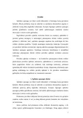 Taršos prevencijos strategijos 3 puslapis
