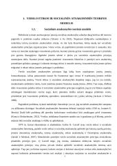 „Apple“ ir „Microsoft“ įmonių socialinės atsakomybės vertinimas 6 puslapis