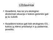 Ekologinio pobūdžio ekstremalios situacijos 2 puslapis
