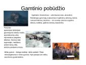 Ekologinio pobūdžio ekstremalios situacijos 7 puslapis