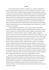 Tautodailė 2 puslapis