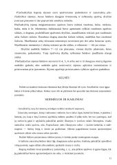 Tautodailė 11 puslapis