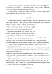 Tautodailė 13 puslapis