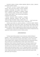 Tautodailė 14 puslapis