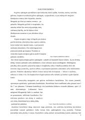 Tautodailė 3 puslapis