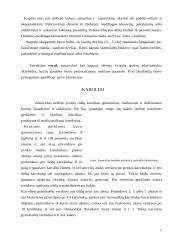 Tautodailė 5 puslapis