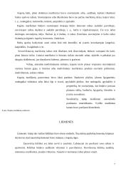 Tautodailė 7 puslapis