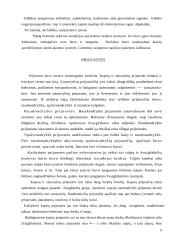 Tautodailė 9 puslapis