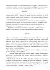 Tautodailė 10 puslapis