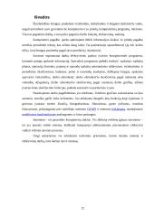 Techninės priemonės, gerinančios darbo kokybę 12 puslapis