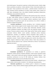 Techninės priemonės, gerinančios darbo kokybę 5 puslapis