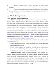 Techninės priemonės, gerinančios darbo kokybę 9 puslapis