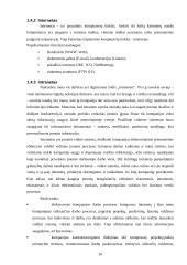 Techninės priemonės, gerinančios darbo kokybę 10 puslapis