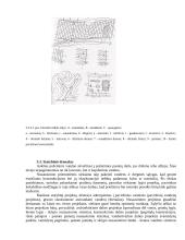 Techninis nusausinimas 12 puslapis