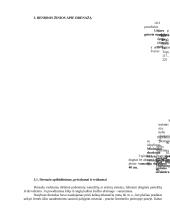 Techninis nusausinimas 7 puslapis