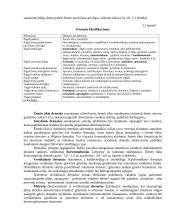 Techninis nusausinimas 9 puslapis