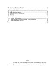 Teledesic projektas 2 puslapis